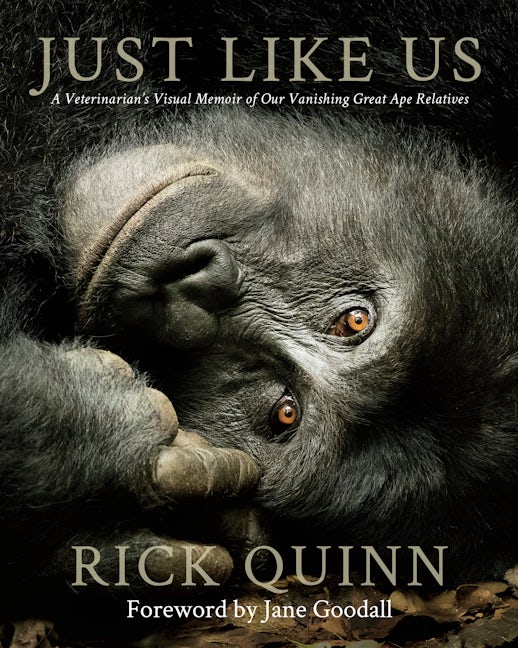 Book cover image for Just Like Us ISBN: 9781734880212